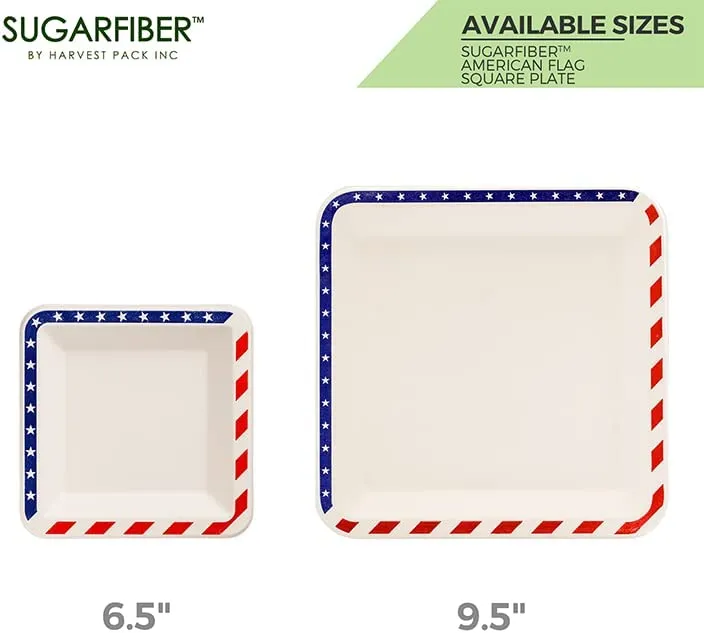 American Flag Contemporary Disposable Square Plate - Made From Natural Plant Fibers Compostable Eco Friendly