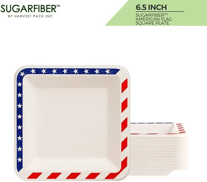 American Flag Contemporary Disposable Square Plate - Made From Natural Plant Fibers Compostable Eco Friendly