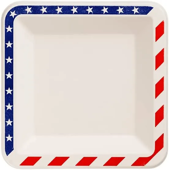 American Flag Contemporary Disposable Square Plate - Made From Natural Plant Fibers Compostable Eco Friendly