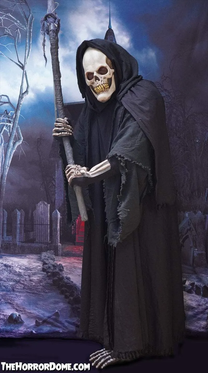 "Movie Quality Black Robe" Costume